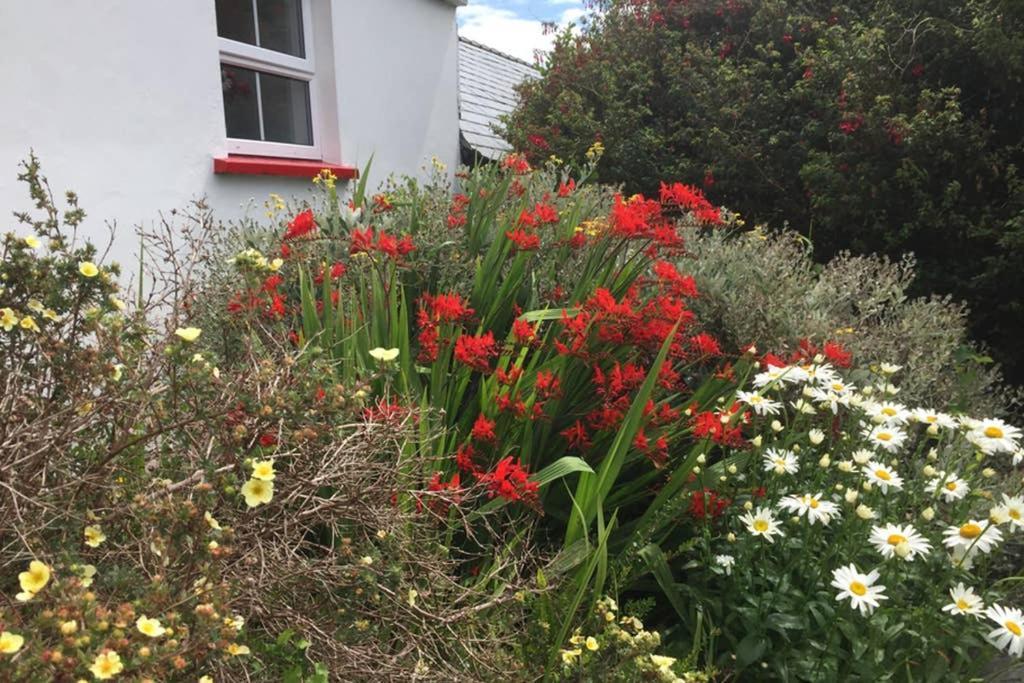 Red Stonecutters Cottage, Doolin Carrowauff Buitenkant foto